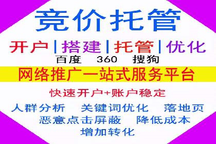 解析SEM推广代运营公司的成功案例及效果