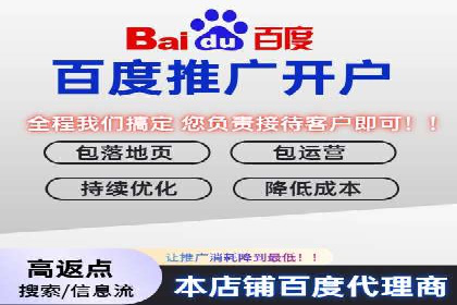 SEM推广技巧：成功案例深度剖析
